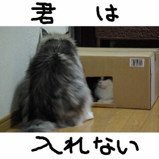 かわいいお部屋の画像を貼っていくトピ。