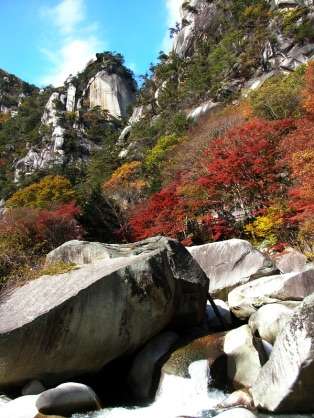 山梨県が好きな人!