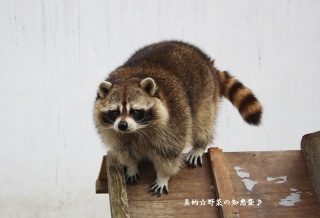 山梨県が好きな人！