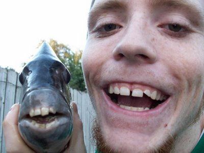 『◯◯だもの』というタイトルを付けて画像を貼るトピ