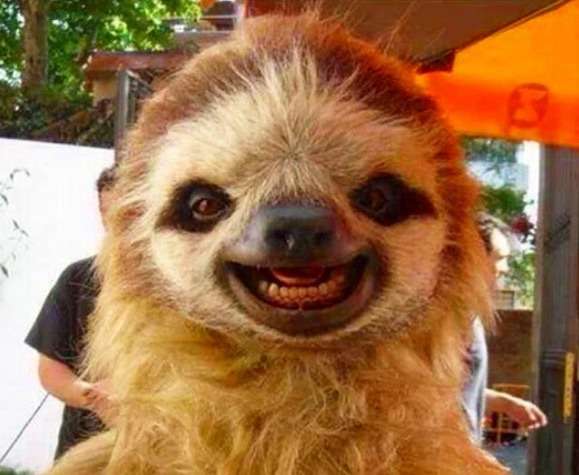 『◯◯だもの』というタイトルを付けて画像を貼るトピ