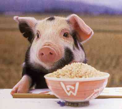 『◯◯だもの』というタイトルを付けて画像を貼るトピ