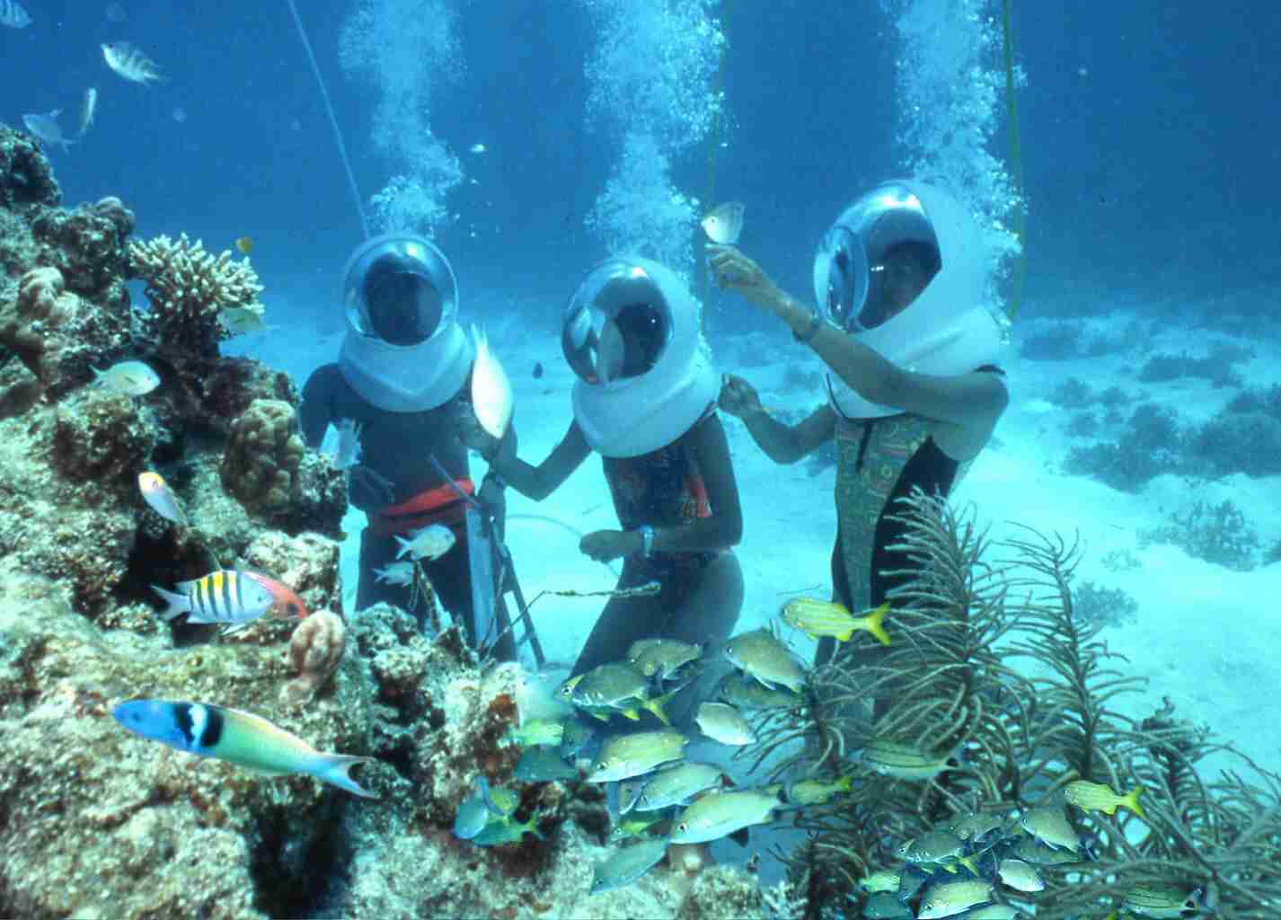 グアムに行った事のある人～