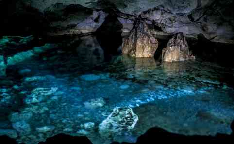 グアムに行った事のある人～