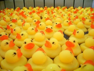 芝居好きなかた集まれー
