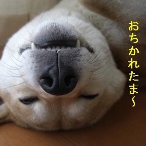 ガルちゃん深夜食堂~お盆編~