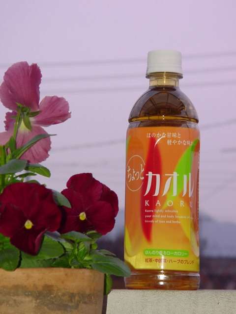 懐かしい飲み物