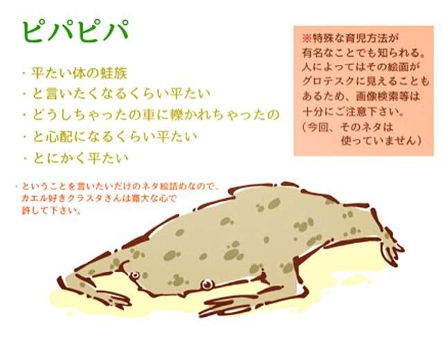 【閲覧注意?】ちょっと怖い生き物が好きな方