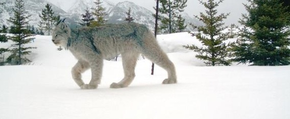 【閲覧注意?】ちょっと怖い生き物が好きな方