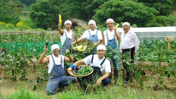家族で安心して観れる番組