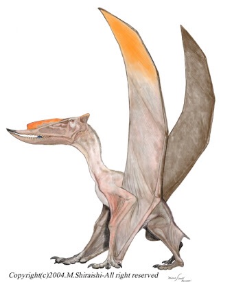 知ってるものに➕、知らないものに➖するトピ