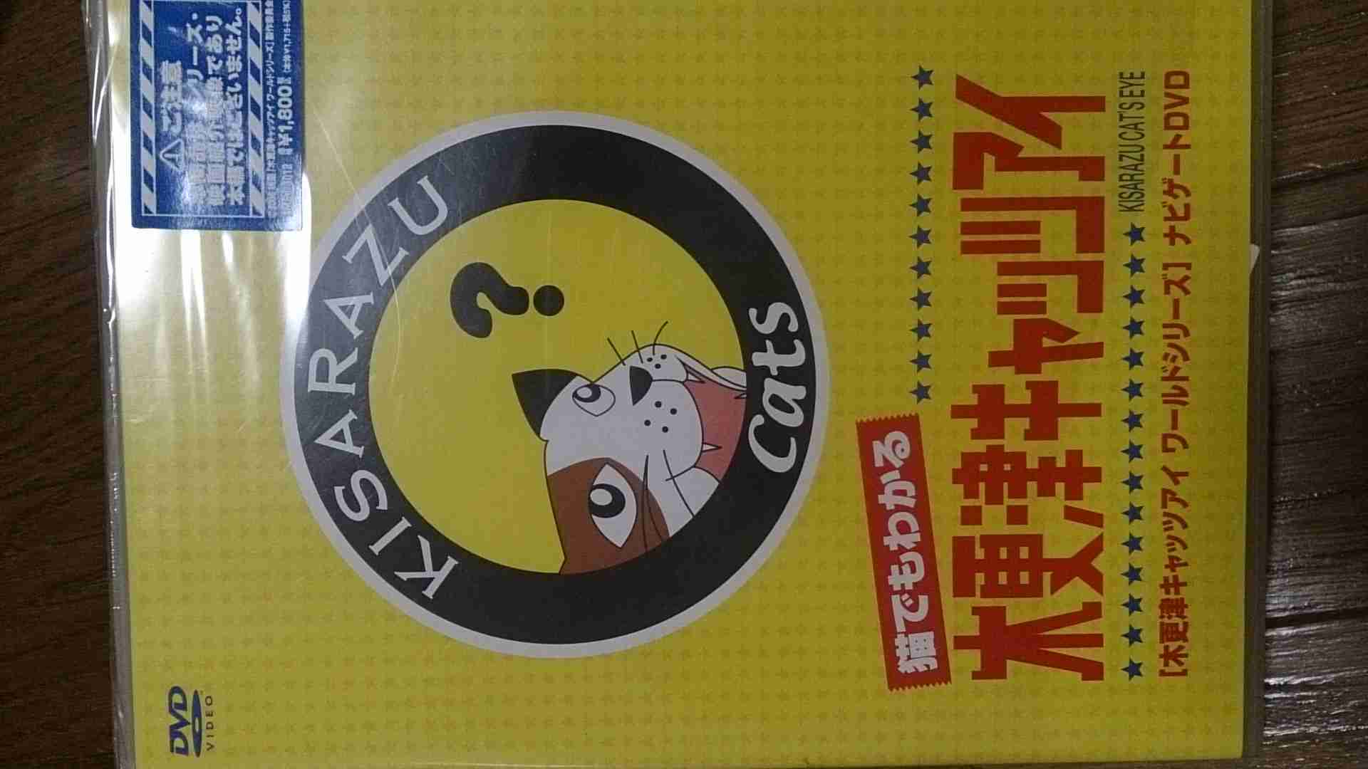 「木更津キャツアイ」好きな人！