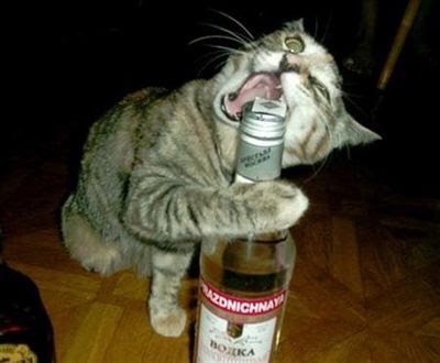 寝る前のお酒が欠かせない人！