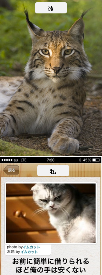 彼氏とあなた、動物に例えると??