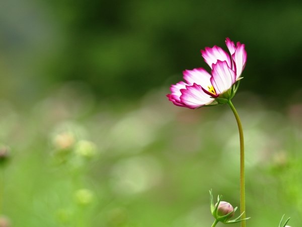 絶望的な状況を乗り越えた方いますか？