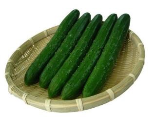 コテハンを有名人にして、ブレないコメントをするトピ