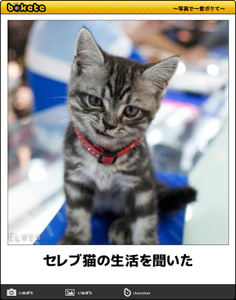 コテハンを有名人にして、ブレないコメントをするトピ