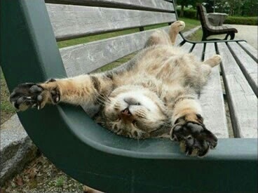 コテハンを有名人にして、ブレないコメントをするトピ