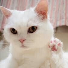 コテハンを有名人にして、ブレないコメントをするトピ