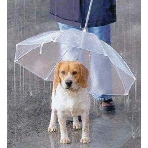 コテハンを有名人にして、ブレないコメントをするトピ