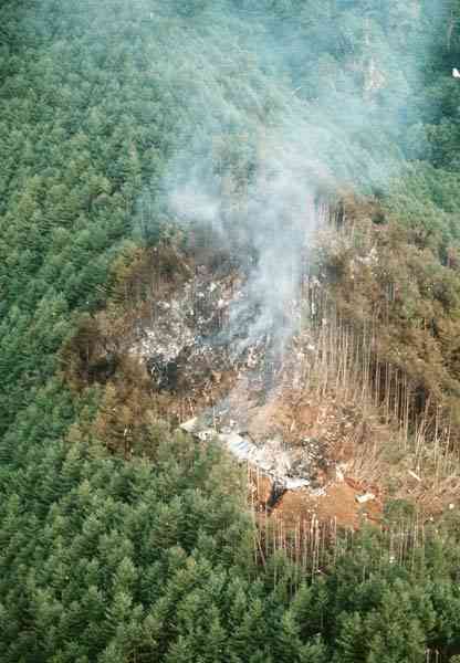 30年前の8月12日日航ジャンボ機墜落事故、覚えていらっしゃいますか。