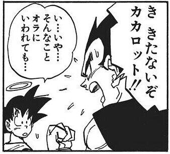 私の不潔自慢