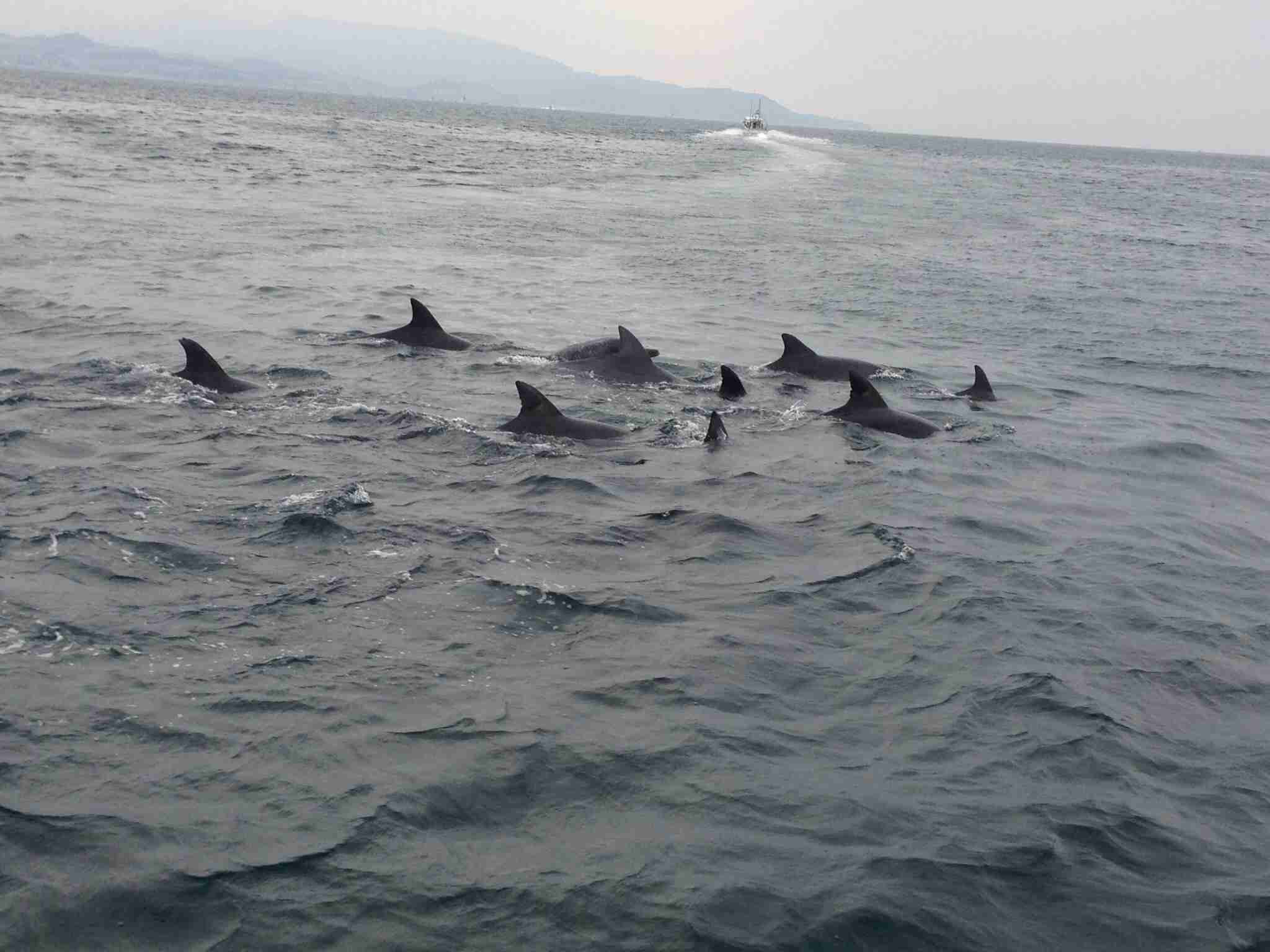 私が行った・行きたいマニアックな観光地