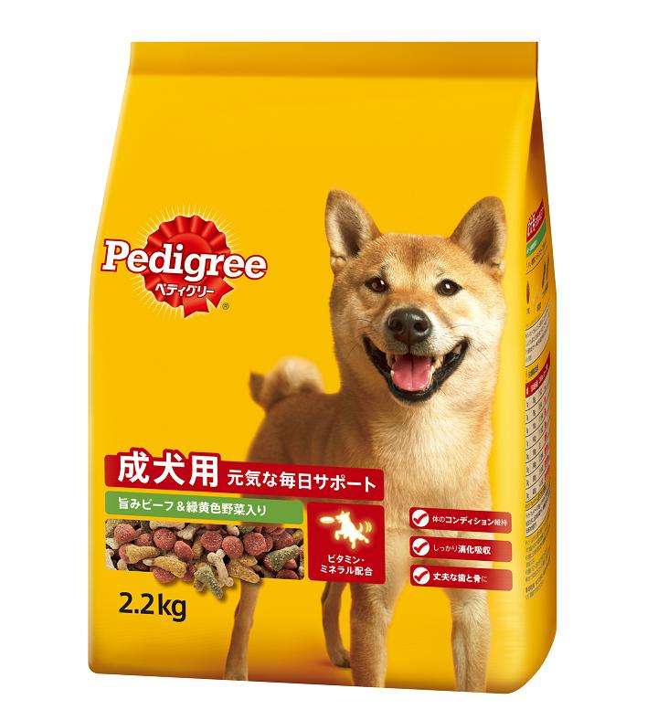 フリーターは何歳まで許せますか？
