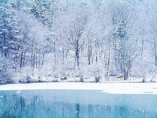 涼しく感じる画像を貼っていくトピ