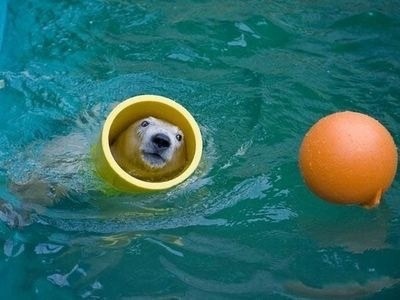 涼しく感じる画像を貼っていくトピ