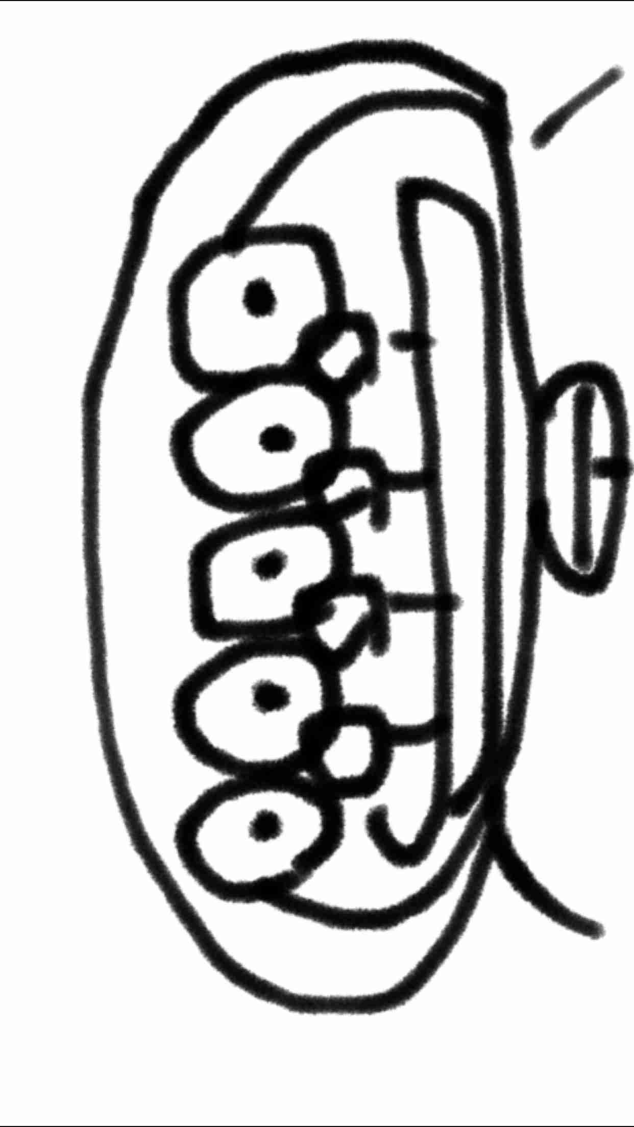 ドラえもんを何も資料見ないで描いてみよう