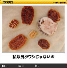 おもしろ画像をみんなで笑うトピ