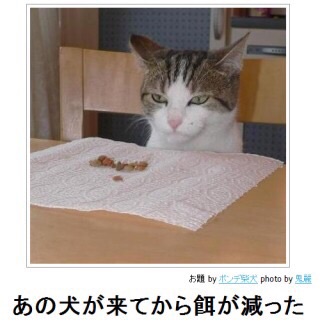 おもしろ画像をみんなで笑うトピ