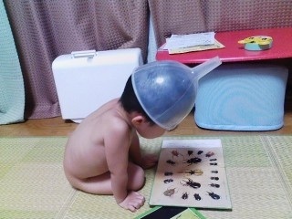 おもしろ画像をみんなで笑うトピ