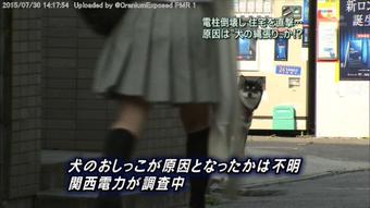 おもしろ画像をみんなで笑うトピ