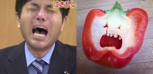 おもしろ画像をみんなで笑うトピ