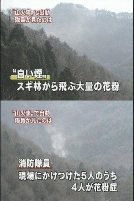 おもしろ画像をみんなで笑うトピ