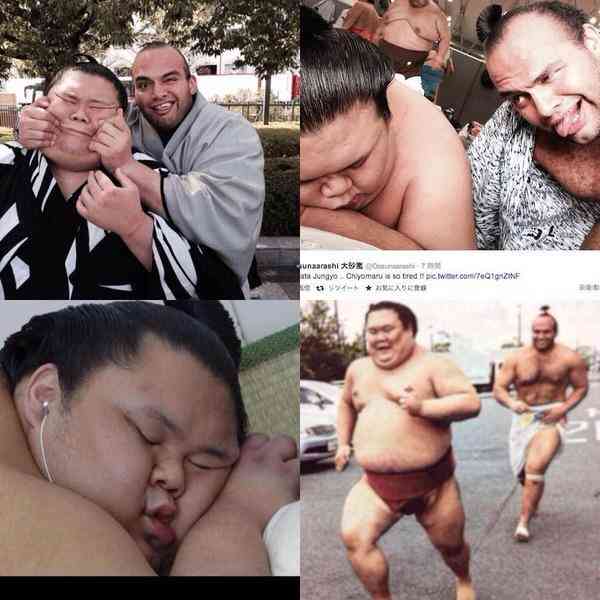おもしろ画像をみんなで笑うトピ