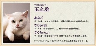 『猫侍』好きな人w