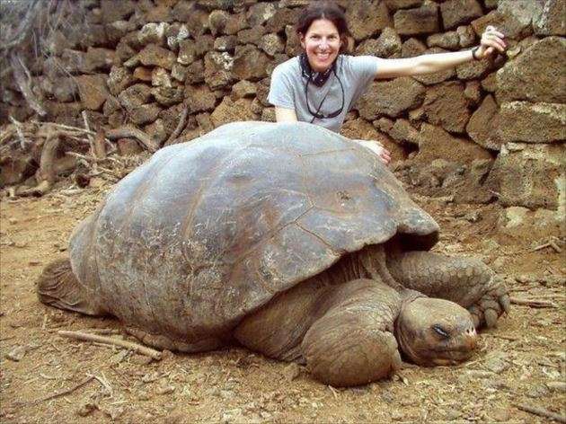 大きな生き物の画像を貼るトピ