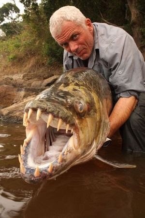 大きな生き物の画像を貼るトピ