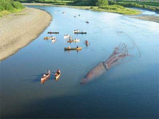 大きな生き物の画像を貼るトピ