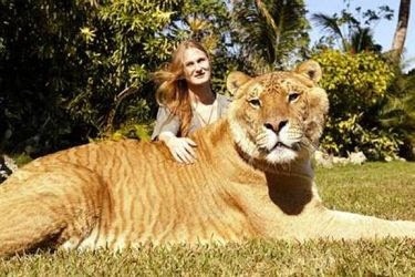 大きな生き物の画像を貼るトピ