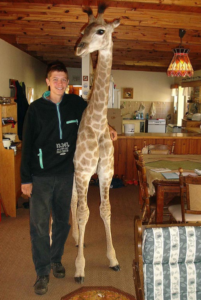 大きな生き物の画像を貼るトピ