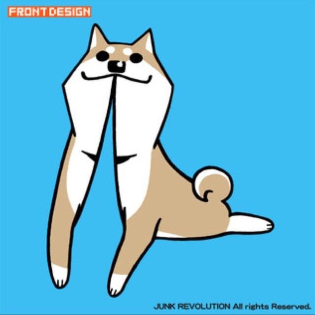 柴犬飼ってる人集まれ！