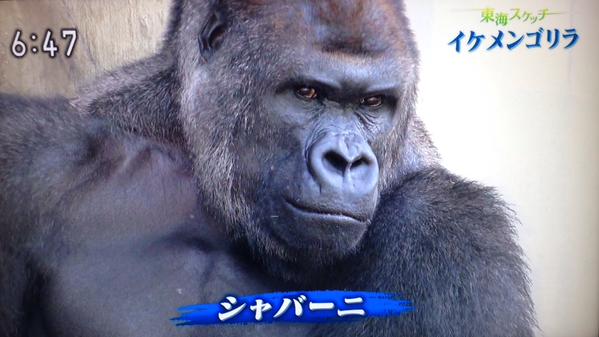 色んなドヤ顔を集めるトピ