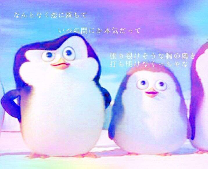 みんなの好きなポエム教えて(OvO)
