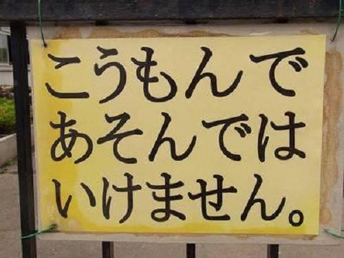 【閲覧注意】…じゃなかった画像