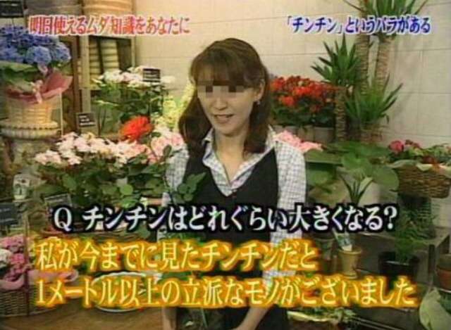 【閲覧注意】…じゃなかった画像