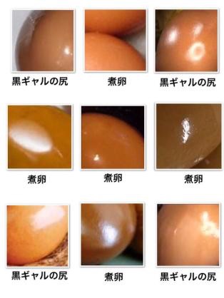 【閲覧注意】…じゃなかった画像